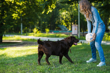 How UK Pet Owners are Embracing ‘Pet Mindfulness’ for Mental Wellness in Dogs and Cats