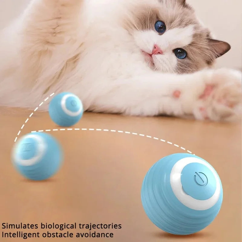 Interactive Cat Toy Ball Roll Pet Things Stuff Products Offer Supplies Games Kitten Accessories Katzen Gadgets Goods Articles